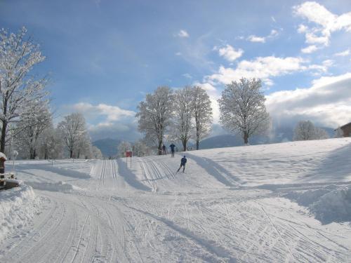 Alpenbad Aparthotel Ramsau am Dachstein Luaran gambar