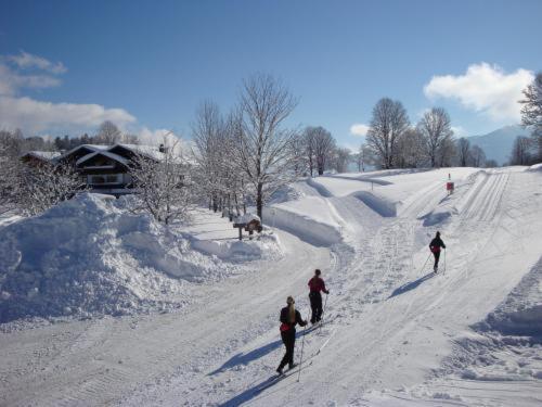 Alpenbad Aparthotel Ramsau am Dachstein Luaran gambar
